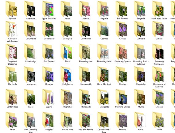 flower folders screenshot