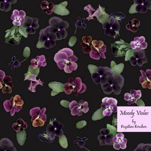 Moody Violas on charcoal gray