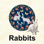 Rabbits Bunnies and Hares Animal Fabric Designs