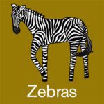 Zebras, Animal Fabric Designs
