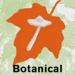 This way to the botanicals