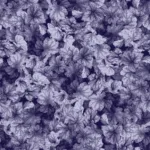 Coral bells - indigo / lavender