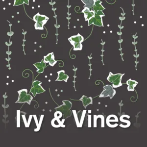 This way to the ivy and vines