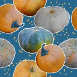 Pumpkins and dots on dark azure