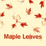 Maple leaves botanical