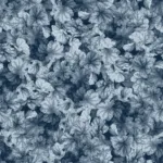 Coral bells - galaxy / soft blue