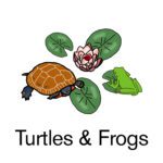 Turtles and frogs