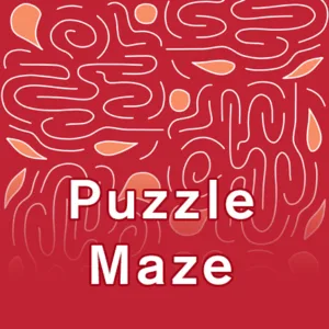 Puzzle Maze Geometric