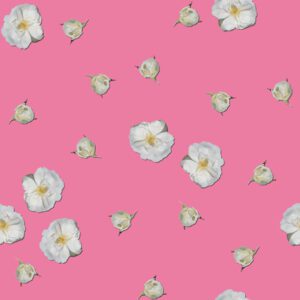 Tiny white roses on Bubblegum Pink
