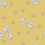 Tiny white roses on Lemon