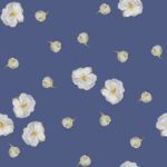 Tiny white roses on Marlin (darker blue)