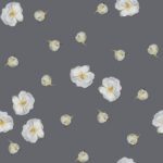 Tiny white roses on Quiet Shade (grey)