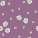 Tiny white roses on Violet Prism