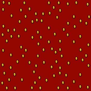Strawberry Seeds on Red